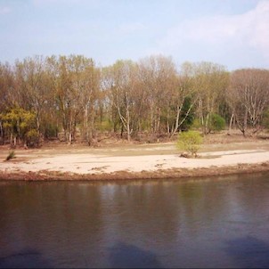 Neregulovaný úsek řeky Moravy