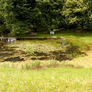 část Nový Petřín