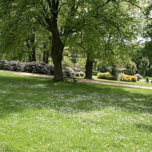 Lazenský park