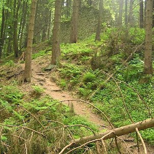 Kynžvart - hrad, přístupová cesta na hrad