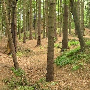 Kynžvart - hrad