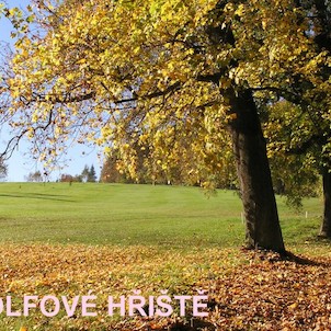 golfové hřiště