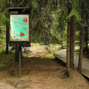 smraďoch, na začátku povalového chodníčku