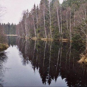 Kladská, Kladský rybník