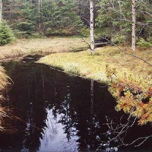 Kladská, Kladský rybník