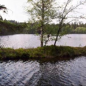 Kladský rybník, ostrůvek