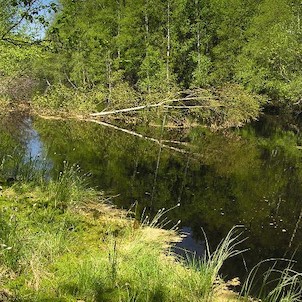 Kladská, Kladský rybník