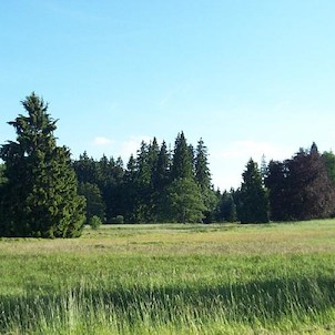 Kladská