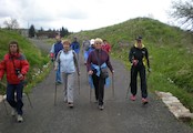 nordic  walking