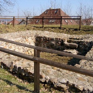 Tvrziště 23, Je pravděpodobné, že tvrz vznikla mimo jiné k ochraně sedlecké stezky. První písemné zprávy máme až z let 1457 a 1462, kdy je zmiňován jistý Arkl Tussel „de Stalticz“ či později „de Talticz“. Později získali dalovické léno příslušníci rodu Hý