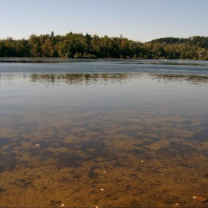 Děpoltovické jezero, jižní část