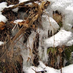 Svatošské skály 6, Národní přírodní památka Jas Svatoš (známá spíše pod názvem Svatošské skály) o rozloze 1,95 ha se nachází v údolí řeky Ohře mezi Karlovými Vary a Loktem. Bizarní skupina skalních věží, sloupů a jehel vytváří pozoruhodné útvary, o jejich