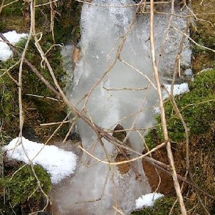 Svatošské skály 13, Národní přírodní památka Jas Svatoš (známá spíše pod názvem Svatošské skály) o rozloze 1,95 ha se nachází v údolí řeky Ohře mezi Karlovými Vary a Loktem. Bizarní skupina skalních věží, sloupů a jehel vytváří pozoruhodné útvary, o jejic