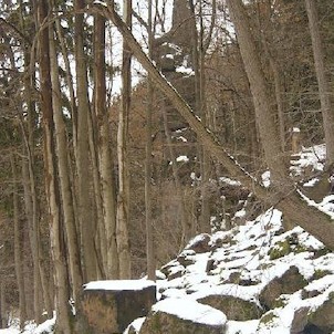 Svatošské skály 54, Národní přírodní památka Jas Svatoš (známá spíše pod názvem Svatošské skály) o rozloze 1,95 ha se nachází v údolí řeky Ohře mezi Karlovými Vary a Loktem. Bizarní skupina skalních věží, sloupů a jehel vytváří pozoruhodné útvary, o jejic