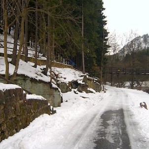 Svatošské skály 71, Národní přírodní památka Jas Svatoš (známá spíše pod názvem Svatošské skály) o rozloze 1,95 ha se nachází v údolí řeky Ohře mezi Karlovými Vary a Loktem. Bizarní skupina skalních věží, sloupů a jehel vytváří pozoruhodné útvary, o jejic