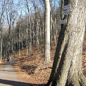 Tři kříže jaro 55, Tři velké dřevěné kříže jsou podobenstvím biblické Golgoty, byly postaveny kolem roku 1640 jako výraz vítězné rekatolizace města a kraje, který byl předchozích 100 let oddán víře luteránské. U Tří křížů stávala restaurace a zvláštní alt