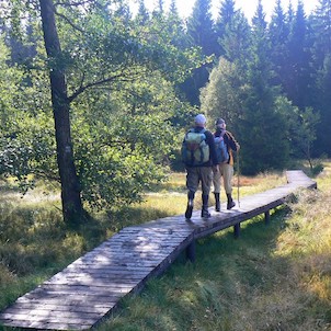 Am Torfmoor