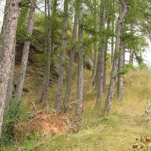 Štědrý hrádek, nad mlýnem