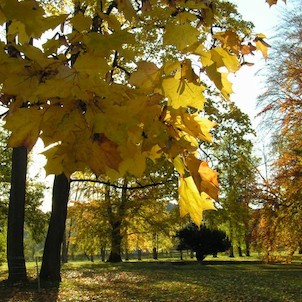 Zámecký park