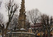 Sloup Nejsvětější Trojice, Pravý mor (slovem mor se ve středověku označovaly prakticky všechny epidemie smrtelných onemocnění) byl původně chorobou zvířat, která se v jistých podmínkách přenáší i na člověka. Hlavními nositeli byli a jsou hlodavci: svišti,