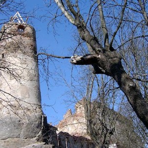 Hrad Hřebeny - Hartenberk P