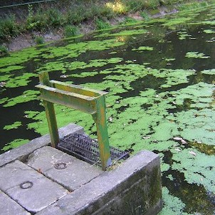 Prachovské skály