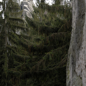 Prachovské skály