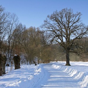 Cesta k Bělidlu