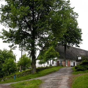 Machov