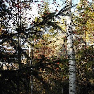Podzimní barvy na hřebenu Broumovských stěn