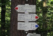 Červený most - Rozcestí