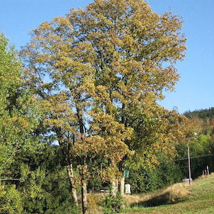 Příroda - podzim v Deštném v O.h.