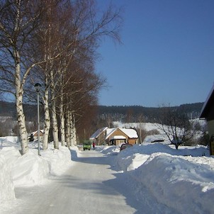 Alej