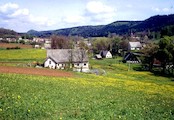 léto