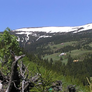 Modrý důl, Pohled z červené turisické cesty na Širokém hřbetu. Rozsáhlé zbytky sněhu na Modré stráni a dobře patrné lavinové dráhy pod ní.