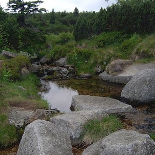 Medvědím - Ladská bouda - Labský důl - Špindlerův Mlýn