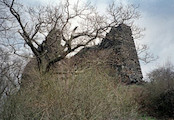 Ronov