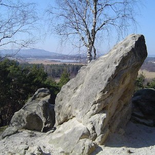 Jestřebí