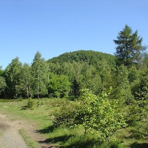 Luž
