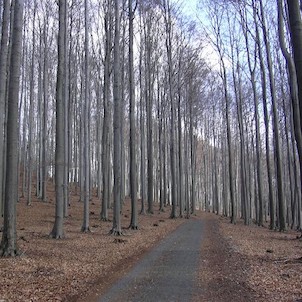 Hradčanské stěny