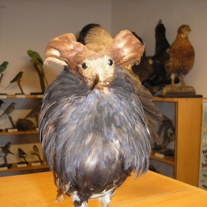 Muzeum přírodovědy Smržovka