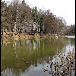 rybník v žitavské ulici