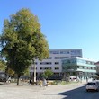 files/gallery/525/70305.JPG