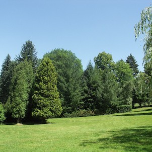 im Kurpark