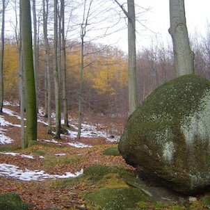Oldřichovské háje