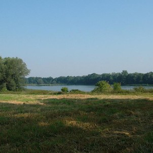 Velký Pavlovický rybník