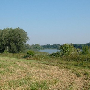 Velký Pavlovický rybník