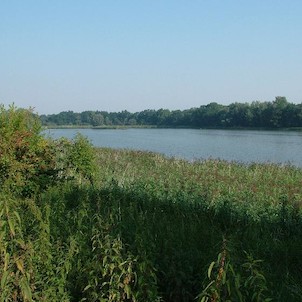 Velký Pavlovický rybník