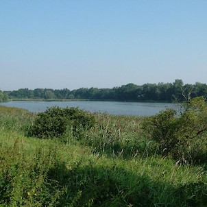 Velký Pavlovický rybník