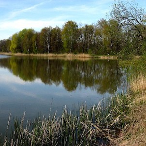 Velký Pavlovický rybník
